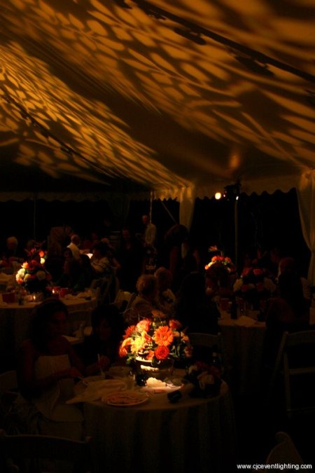 Tent Wedding in Southwick Massachusetts